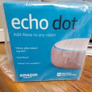 Echo dot plum